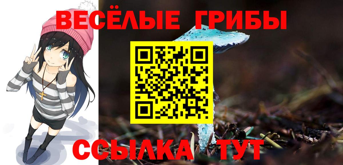 Комсомольск-на-Амуре  Галлюциногенные грибы мухоморы  Вход с VPN 