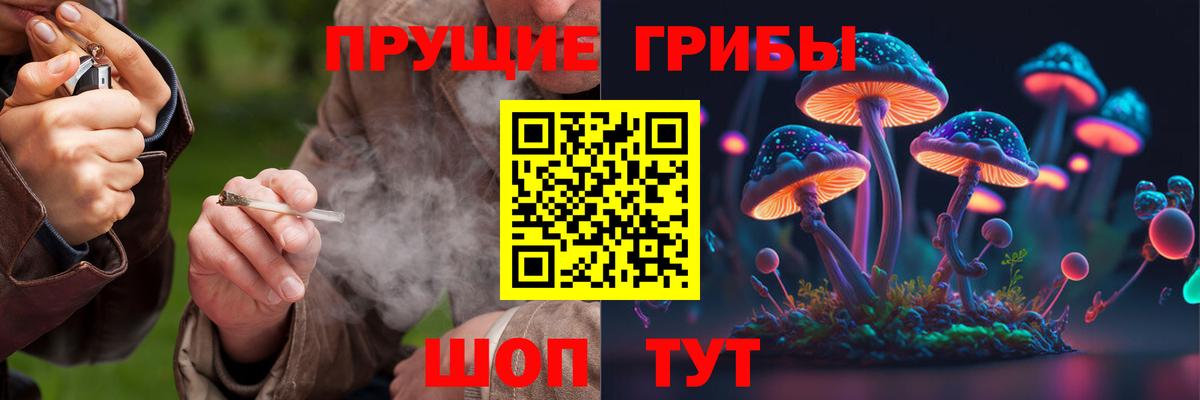 Псилоцибиновые грибы мухоморы Комсомольск-на-Амуре
